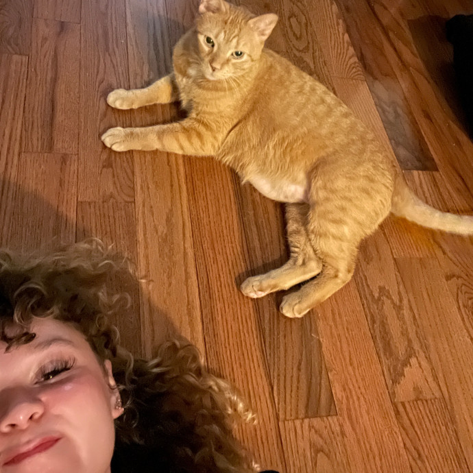 Cass's Purrrrrrfect Service