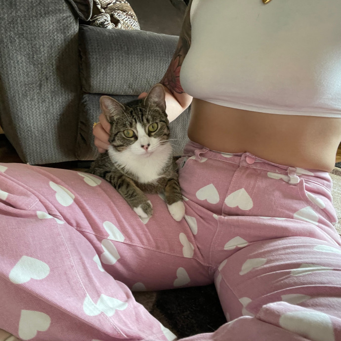 Cass's Purrrrrrfect Service photo 3