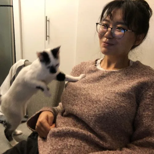 Cat Whisperer In Brookline