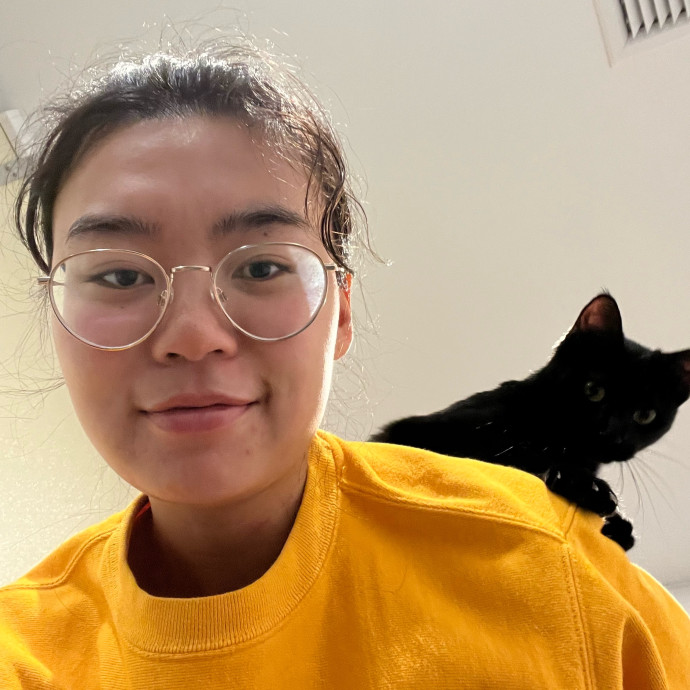Cat Whisperer In Brookline