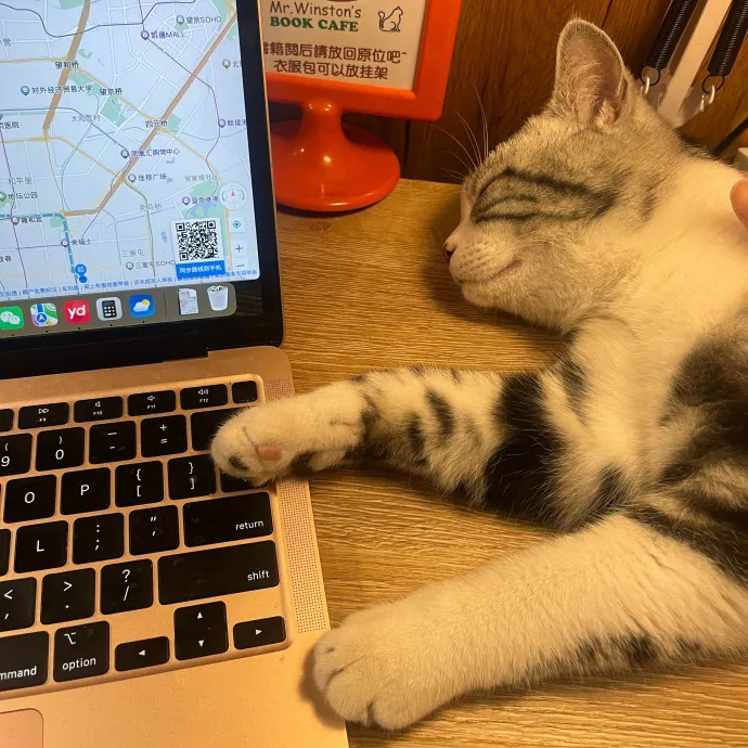 Cat Whisperer In Brookline photo 3