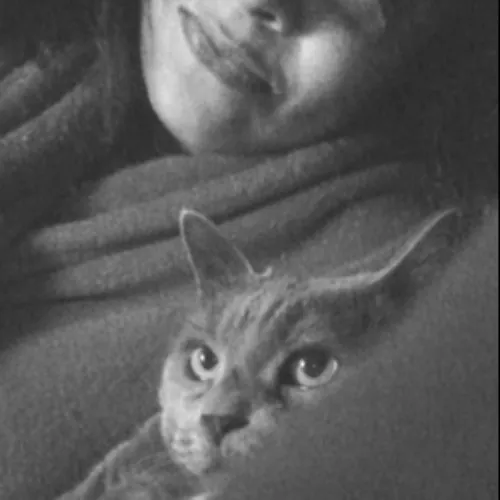 Melissa's Above And Beyond Cat Sitting