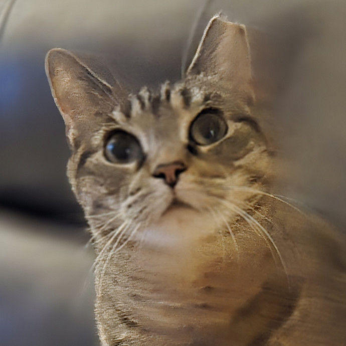Melissa's Above And Beyond Cat Sitting