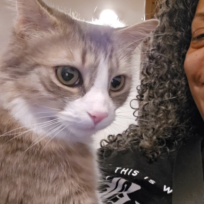Melissa's Above And Beyond Cat Sitting
