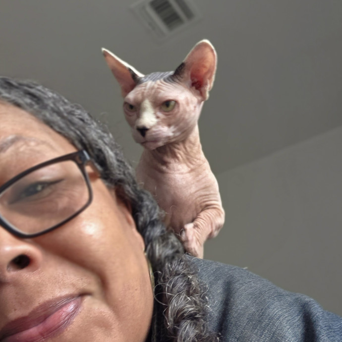 Melissa's Above And Beyond Cat Sitting photo 2