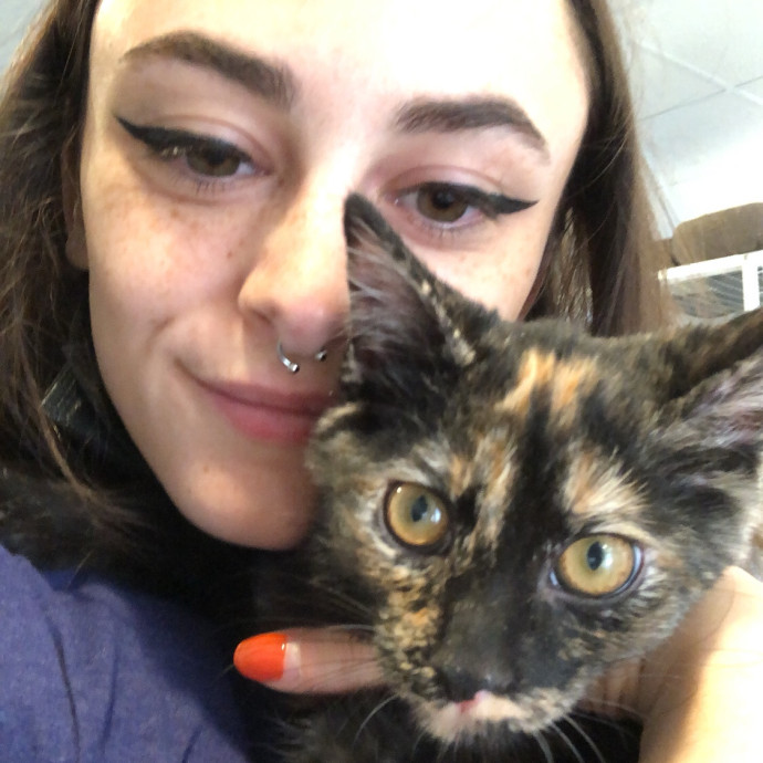 Kayla Luvs Kitties