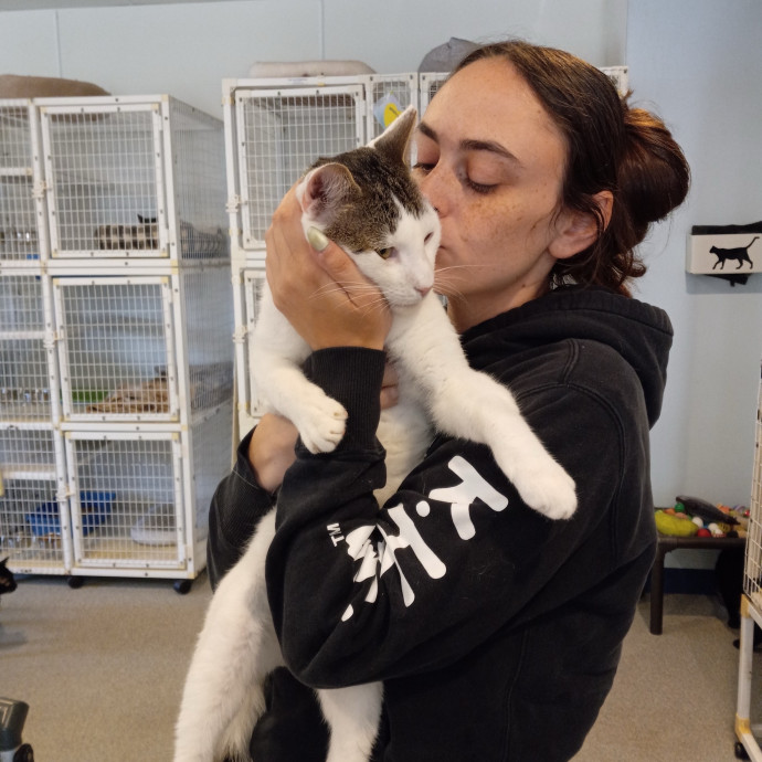 Kayla Luvs Kitties