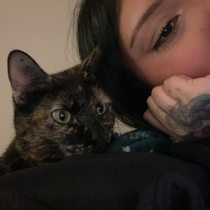 A Cats Bestie
