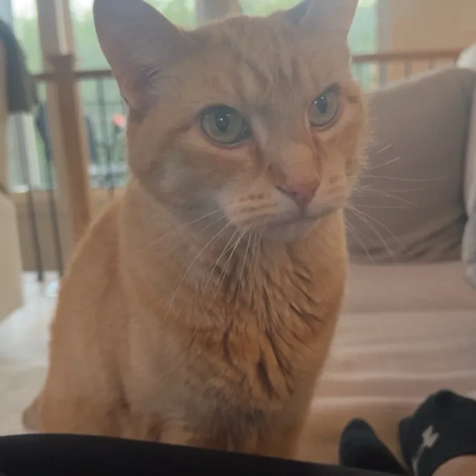 Kylie B.