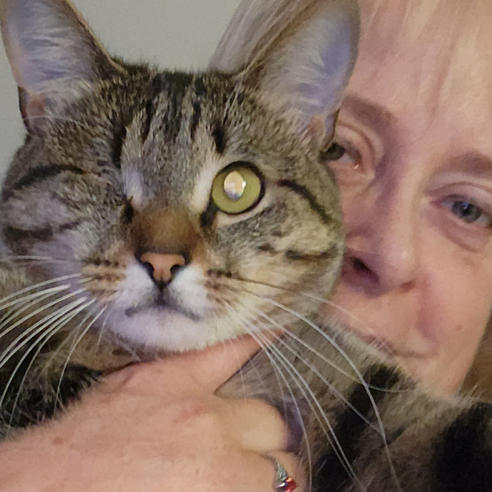 Loving Care For Your Fur Babies photo 2