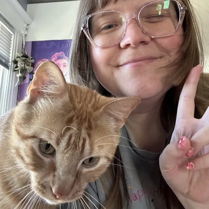 Magic Cat Studio Cat Sitting With Lauren