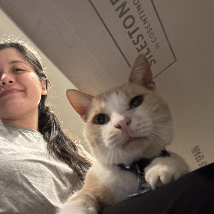 Professional Cat Sitter In Austin