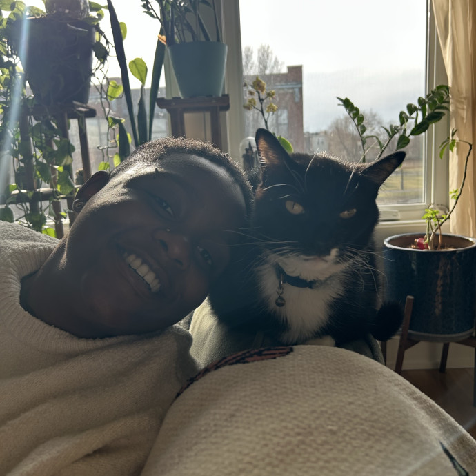 Your Go To Cat Sitter