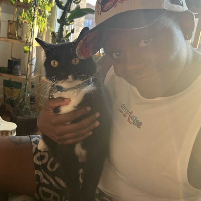 Your Go To Cat Sitter