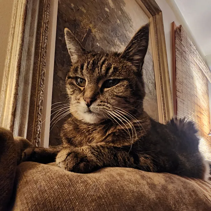 Kitty Gramma