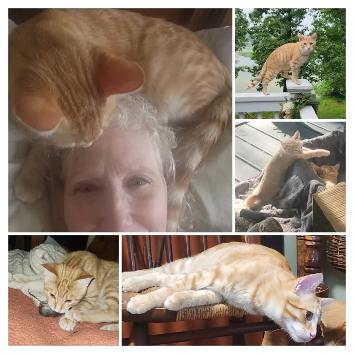 Kitty Gramma