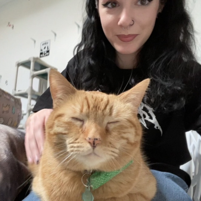 Patient Attentive Cat Care photo 2