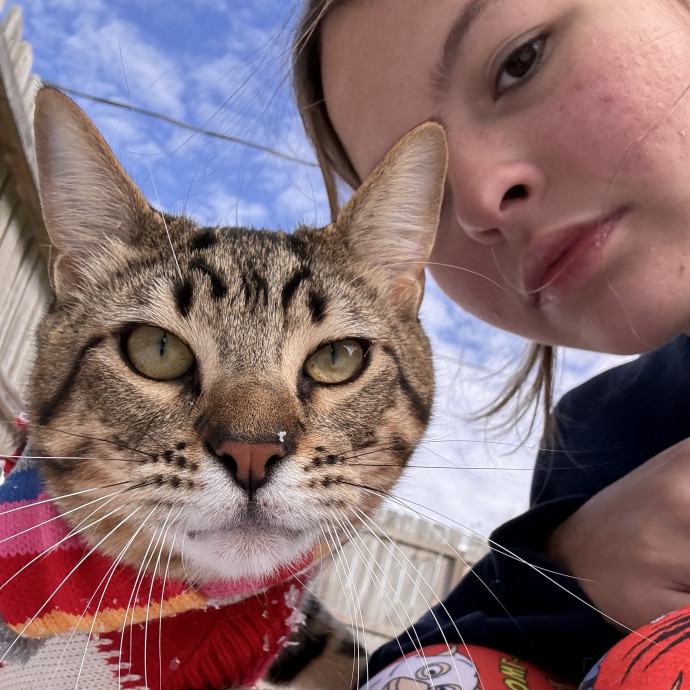 Your New Cat Best Friend