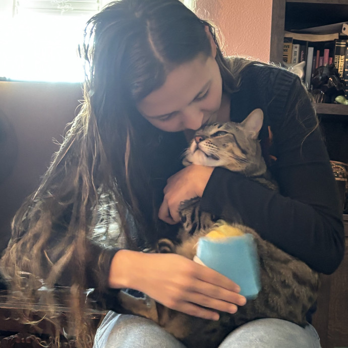 Your New Cat Best Friend
