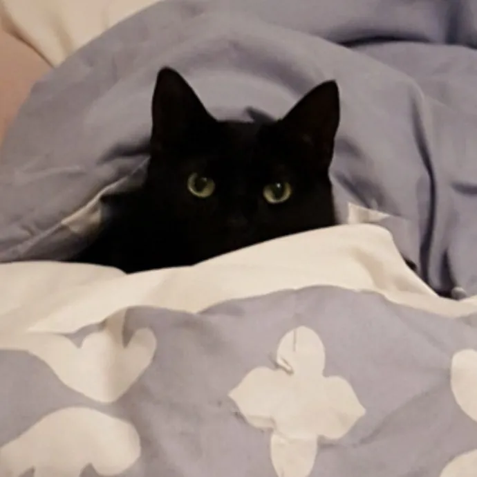 The Cat Concierge