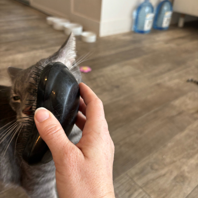Cat Whisperer