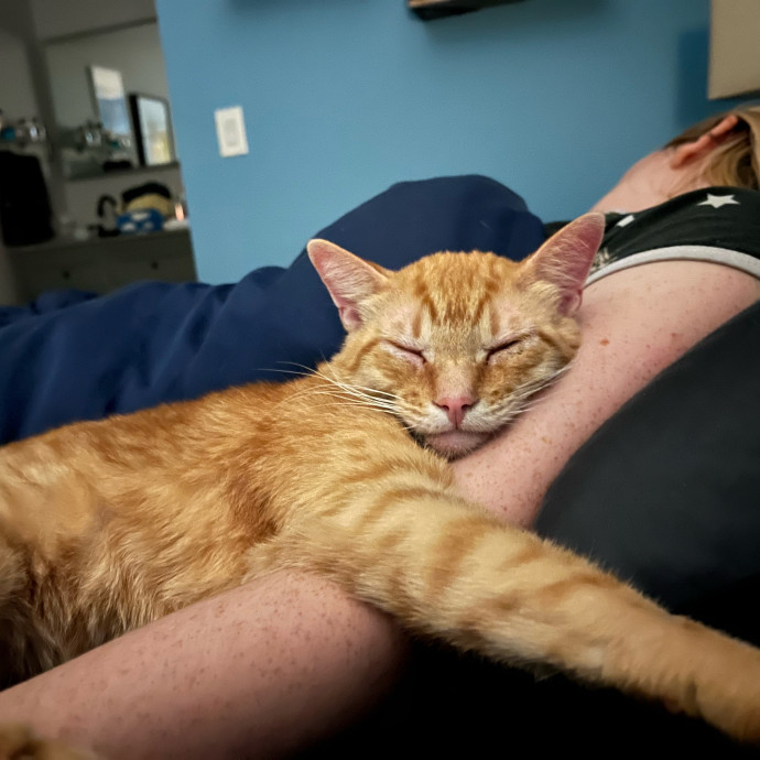 Cat Whisperer