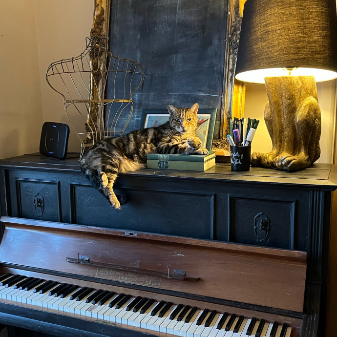 Meowry Poppins Pet Pampering