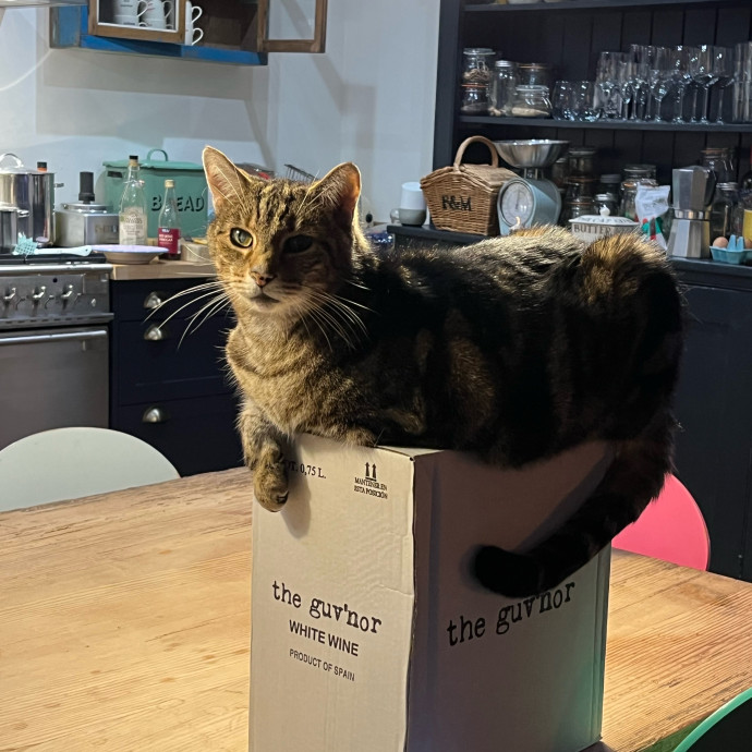 Meowry Poppins Pet Pampering