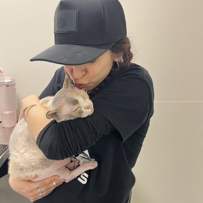 The Best Cat Mom As Your Sittier