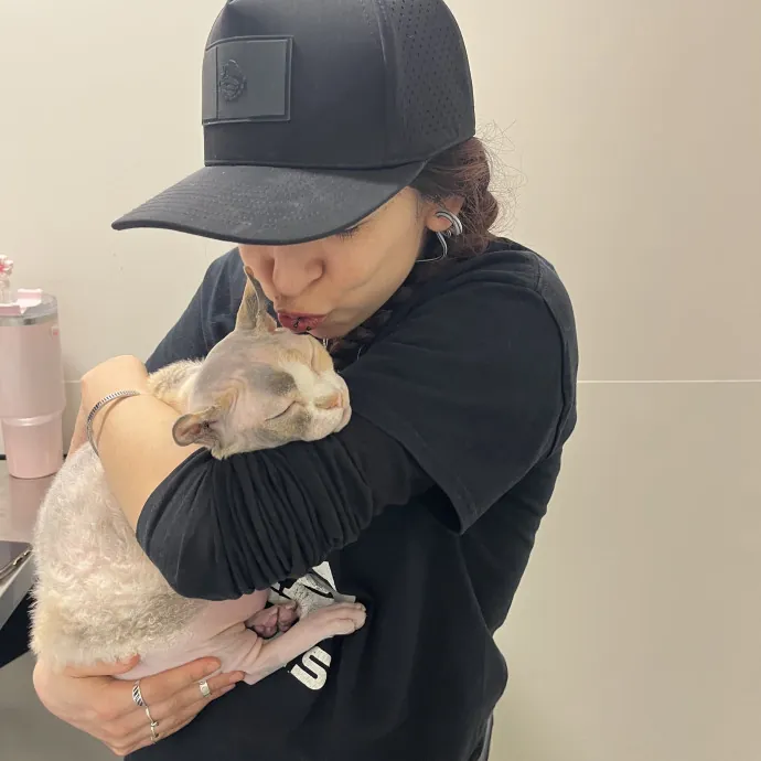 The Best Cat Mom As Your Sittier