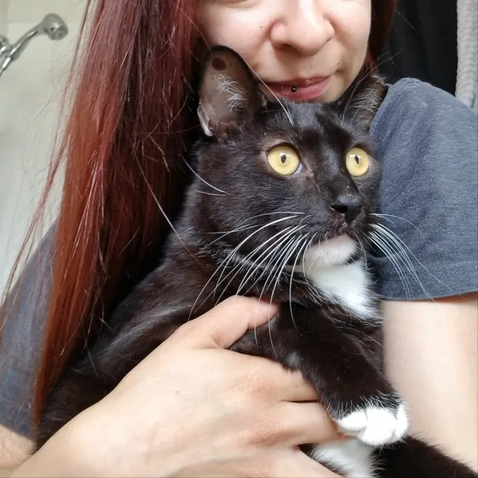 The Best Cat Mom As Your Sittier