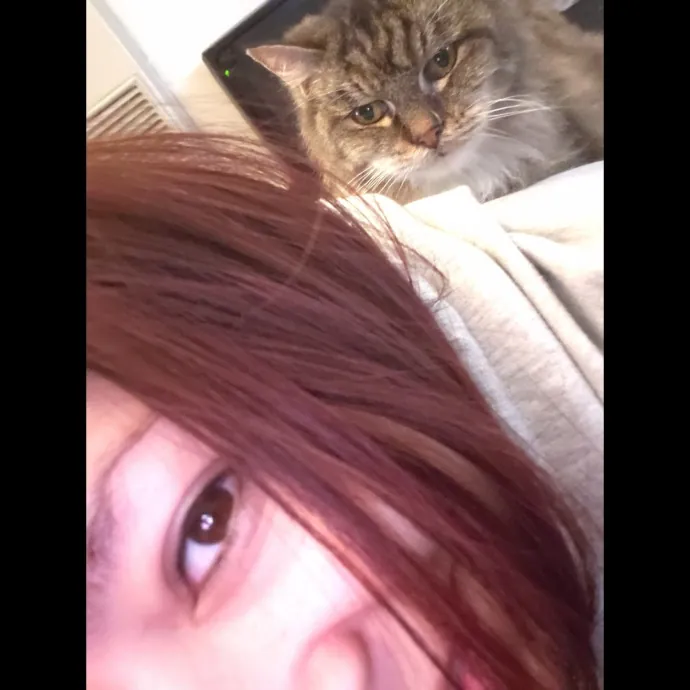 The Best Cat Mom As Your Sittier