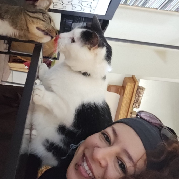 The Best Cat Mom As Your Sittier