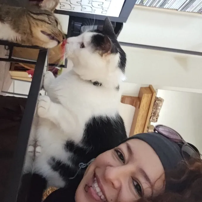 The Best Cat Mom As Your Sittier