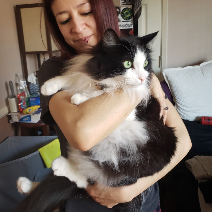 The Best Cat Mom As Your Sittier