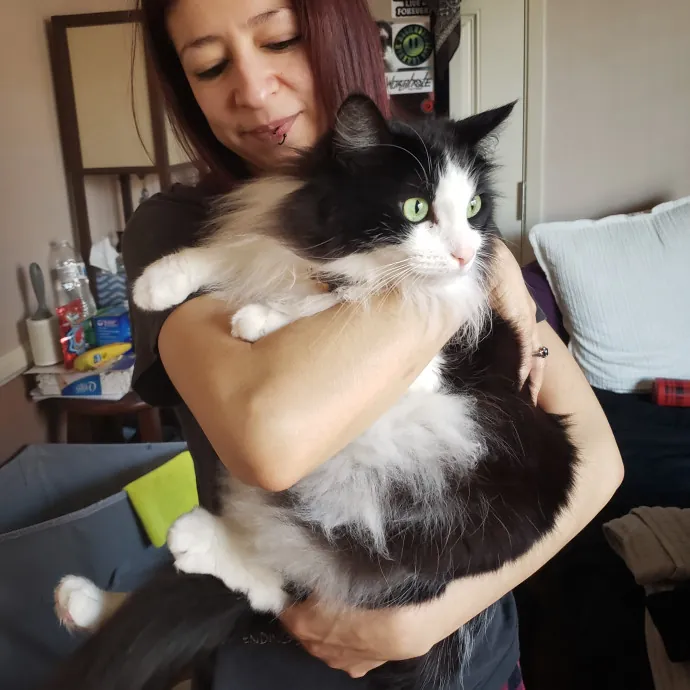 The Best Cat Mom As Your Sittier