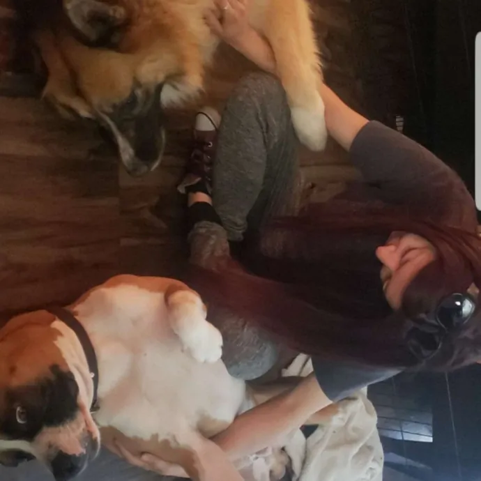 The Best Cat Mom As Your Sittier