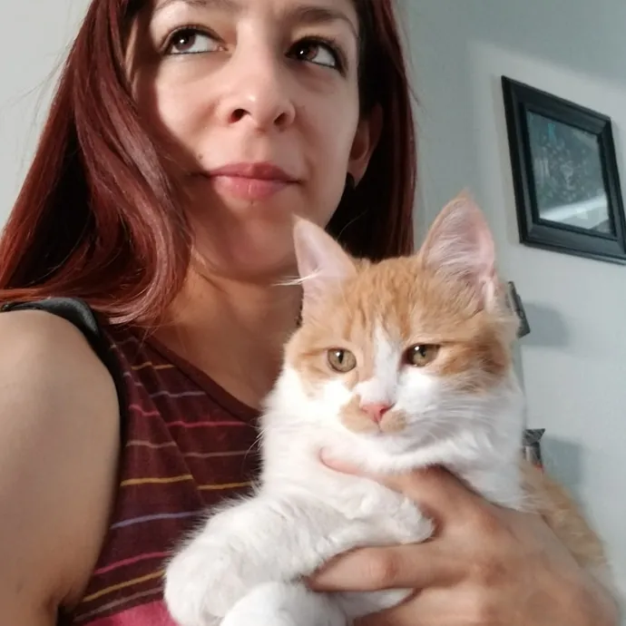 The Best Cat Mom As Your Sittier