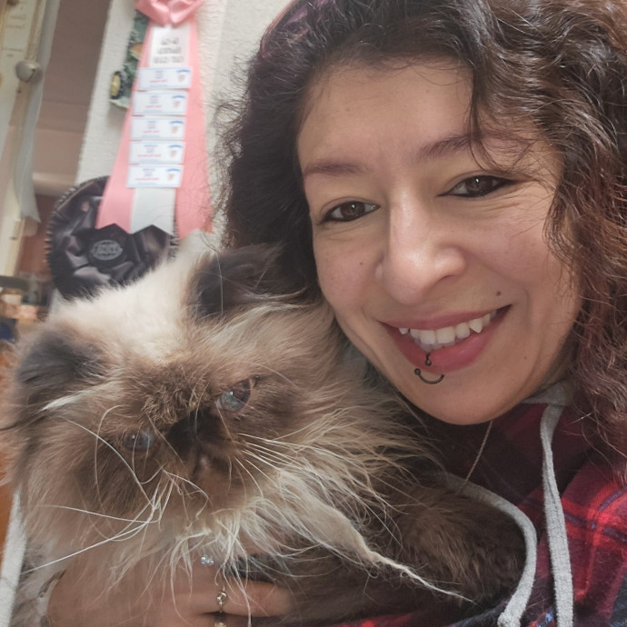 The Best Cat Mom As Your Sittier