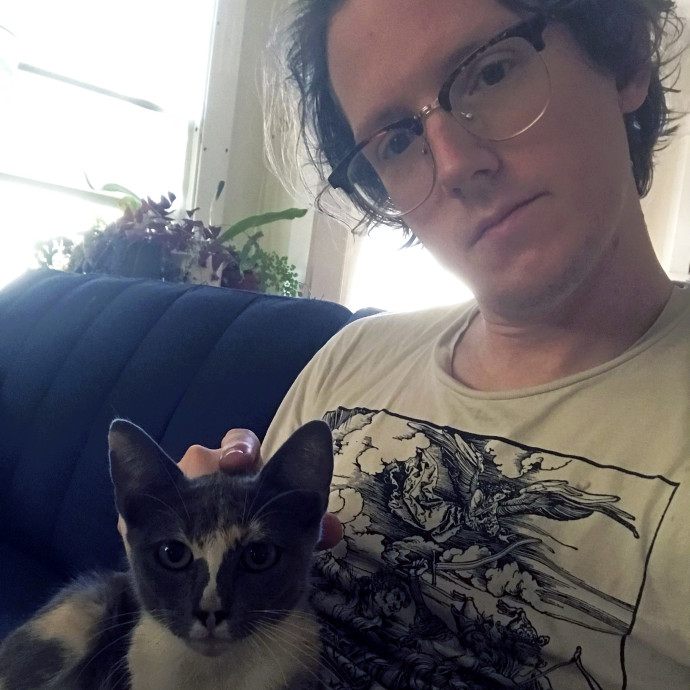 Calm Attentive Care For Your Cat