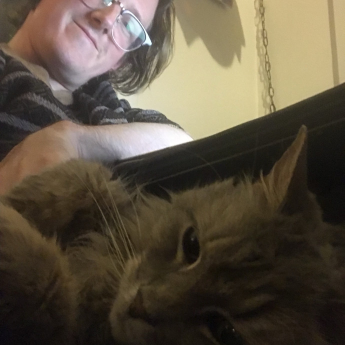 Calm Attentive Care For Your Cat