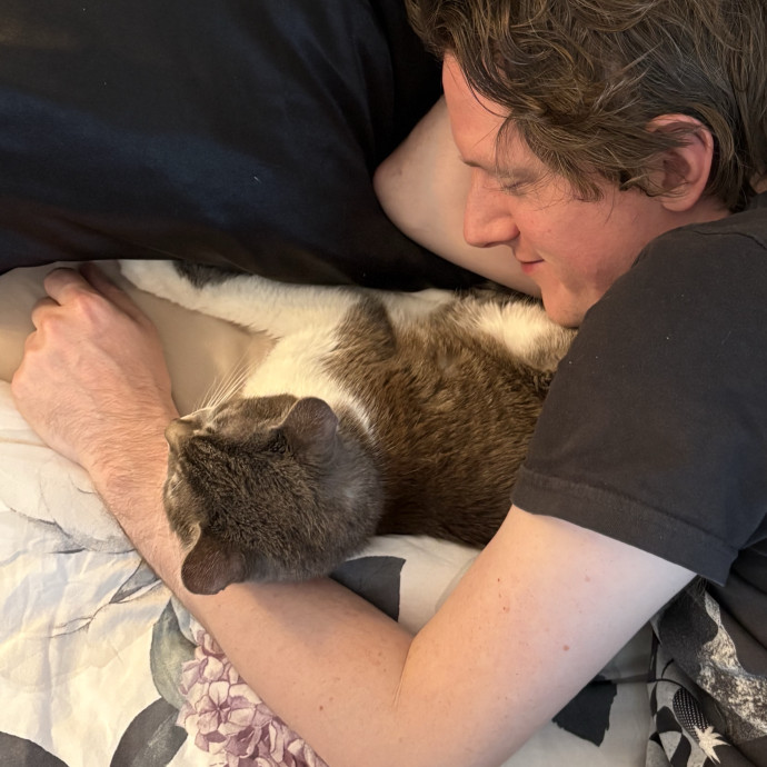 Calm Attentive Care For Your Cat