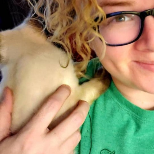 Bridgette's Extra Mile Pet Care