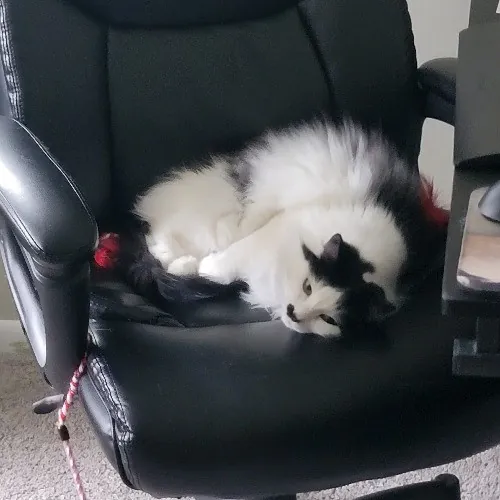 Bridgette's Extra Mile Pet Care