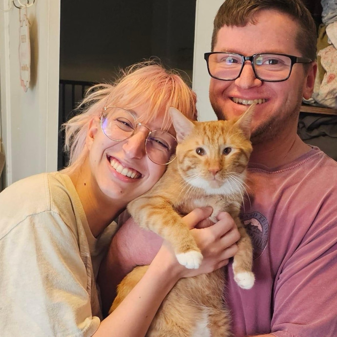Lifelong Cat Lover  Owner Of 3 Kitties