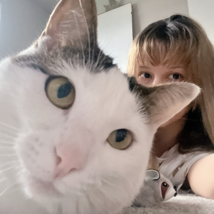 Lifelong Cat Lover  Owner Of 3 Kitties photo 2
