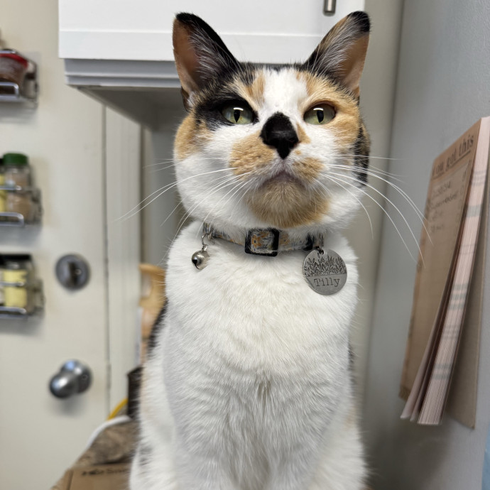 Purrrrsonal Cat Attendant