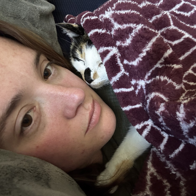 Purrrrsonal Cat Attendant photo 3