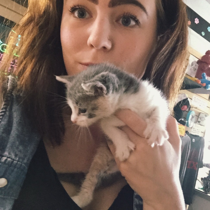 Cat Lover Here To Bring Peace Of Mind