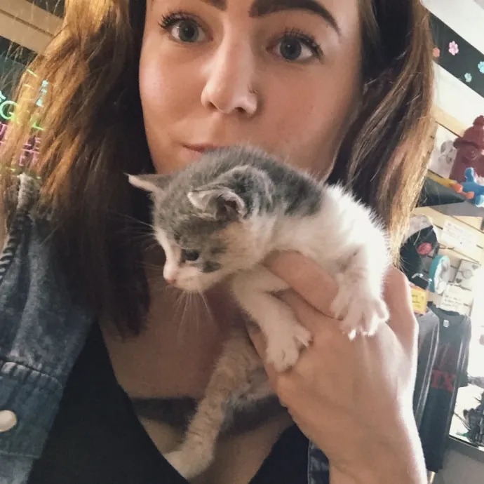 Cat Lover Here To Bring Peace Of Mind